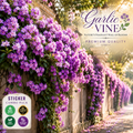🌸 Premium Garlic Vine Flower Plant Combo Pack (2 Plants) | Fragrant Purple Blooming Climber for Garden Wall, Balcony & Fence Decoration 🌸