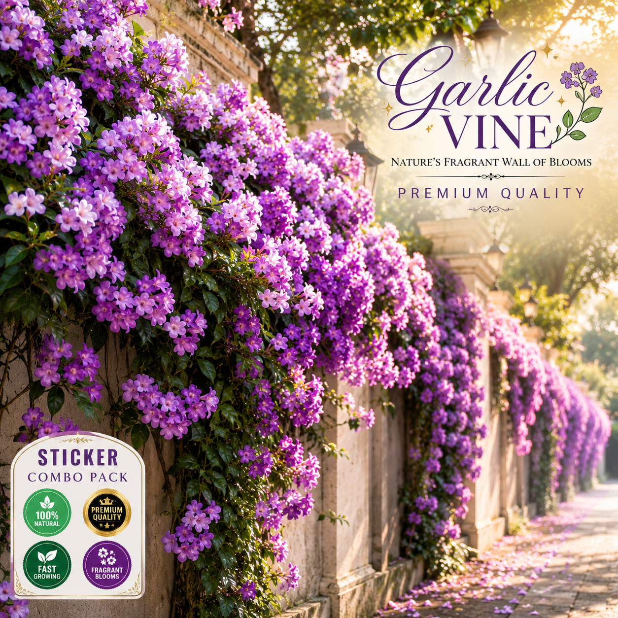 🌸 Premium Garlic Vine Flower Plant Combo Pack (2 Plants) | Fragrant Purple Blooming Climber for Garden Wall, Balcony & Fence Decoration 🌸