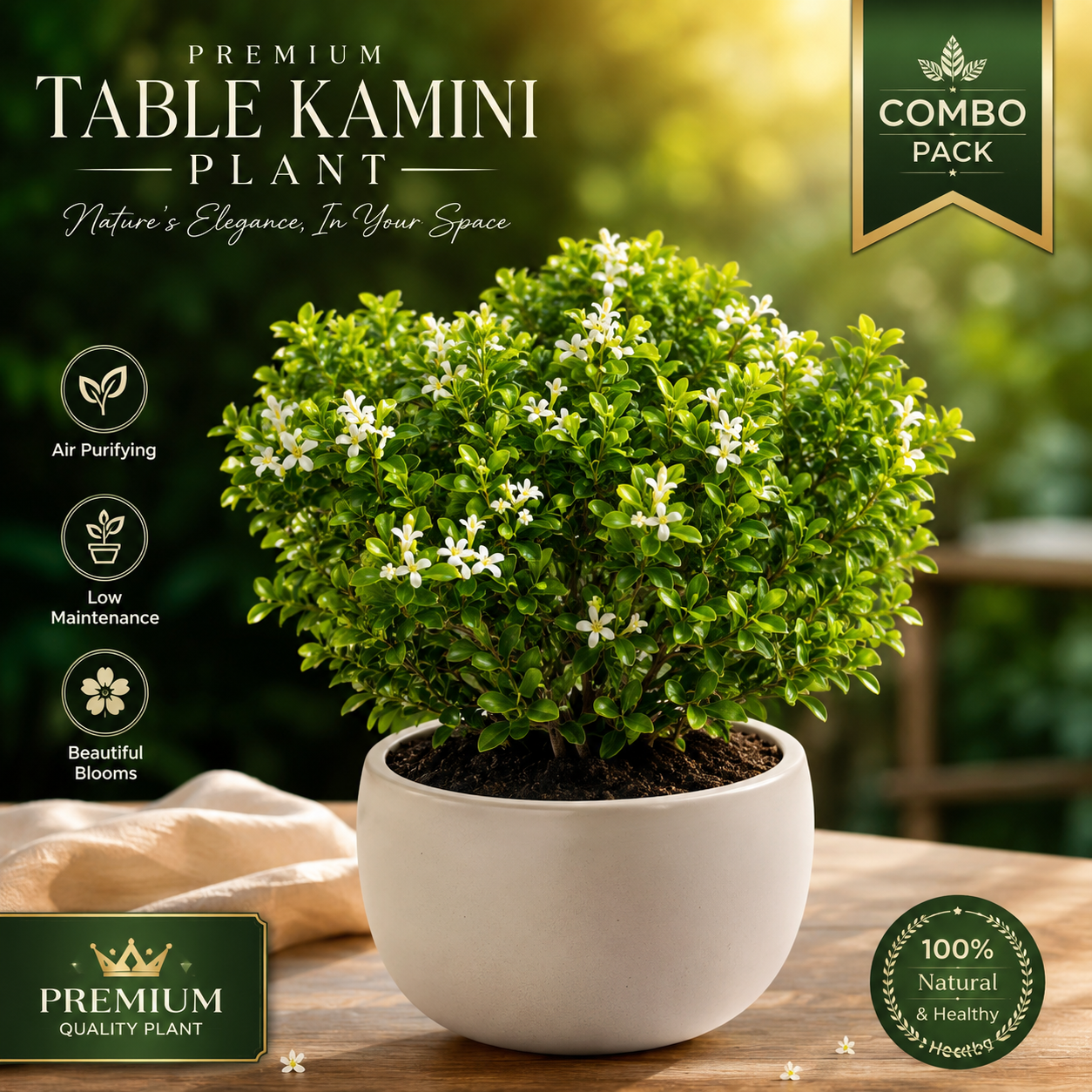 Premium Table Kamini Plant Combo Pack (2 Plants) | Indoor Bonsai Style Decorative Live Plant