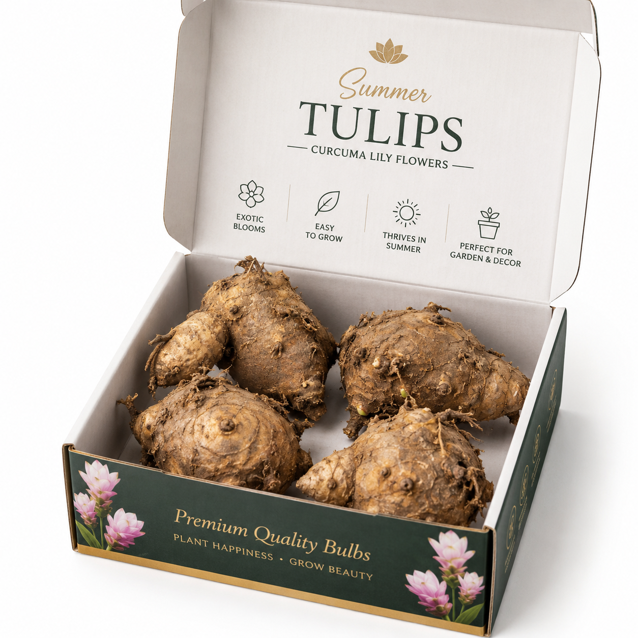 Premium Summer Tulips (Curcuma Lily) Flower Bulbs – Exotic Bloom Combo Pack