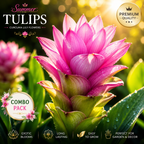 Royal Exotic Bloom Collection – 5 Premium Rare Flower Bulbs Combo Pack