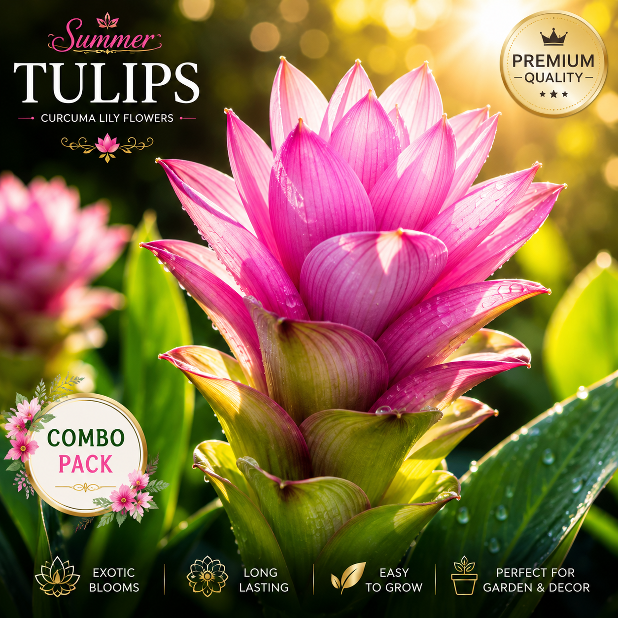 Premium Summer Tulips (Curcuma Lily) Flower Bulbs – Exotic Bloom Combo Pack