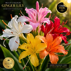 Royal Exotic Bloom Collection – 5 Premium Rare Flower Bulbs Combo Pack