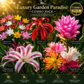 🌸 Garden Paradise Combo Pack 🌸 5 Premium Flower Bulbs Collection Rain Lily • Aztec Lily • Curcuma Lily • Crinum Lily • Multi Colour Ginger Lily