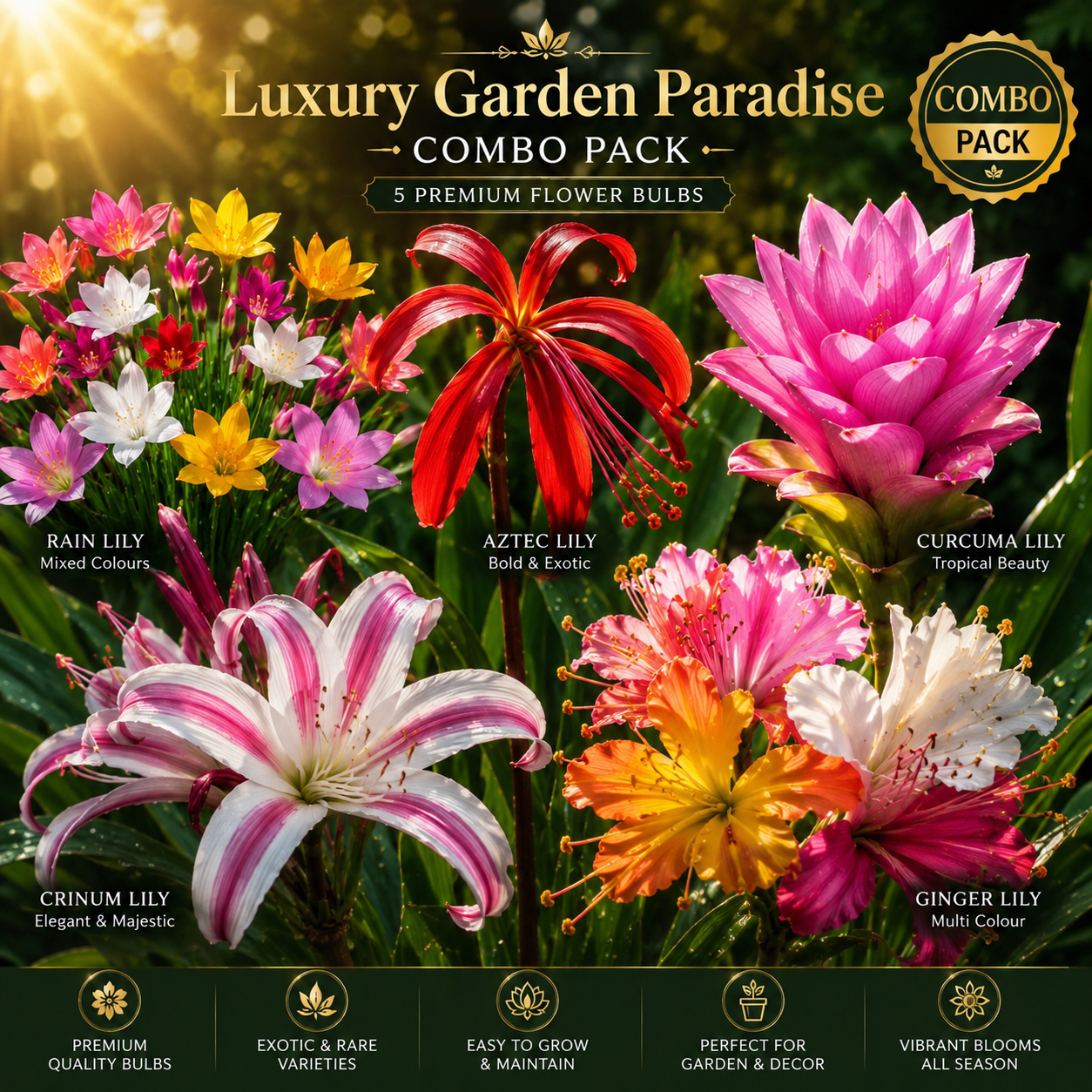 🌸 Garden Paradise Combo Pack 🌸 5 Premium Flower Bulbs Collection Rain Lily • Aztec Lily • Curcuma Lily • Crinum Lily • Multi Colour Ginger Lily