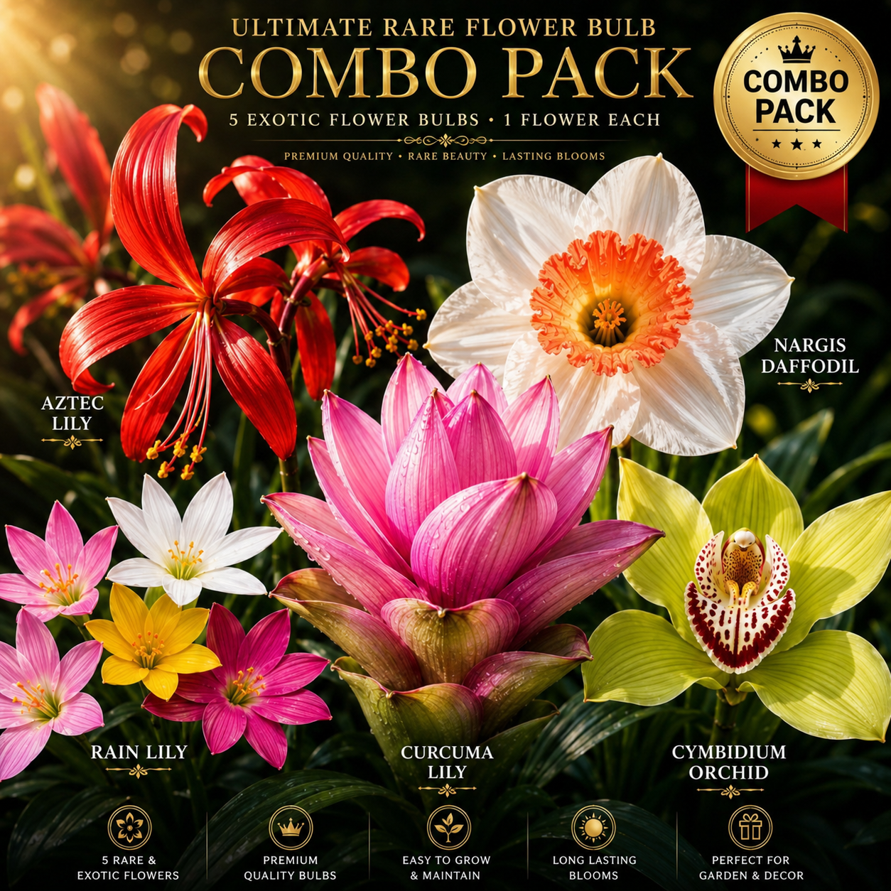 Ultimate Rare Flower Bulb Combo Pack – Aztec Lily, Nargis Daffodil, Rain Lily, Curcuma Lily & Cymbidium Orchid (5 Exotic Varieties)