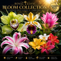 Royal Exotic Bloom Collection – 5 Premium Rare Flower Bulbs Combo Pack